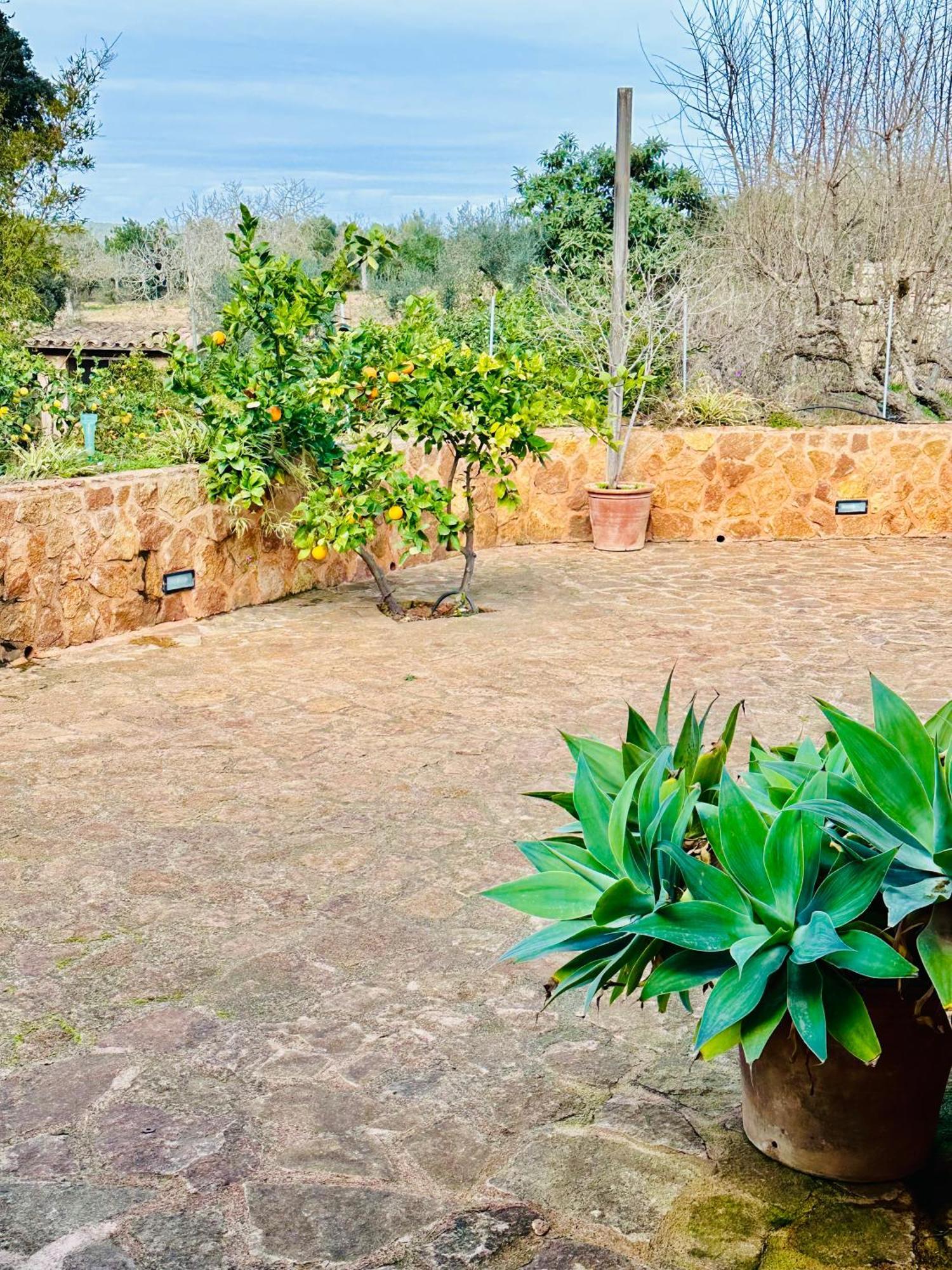 Ses Barraques Ferienhaus *